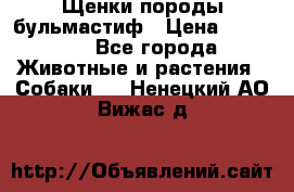 Щенки породы бульмастиф › Цена ­ 25 000 - Все города Животные и растения » Собаки   . Ненецкий АО,Вижас д.